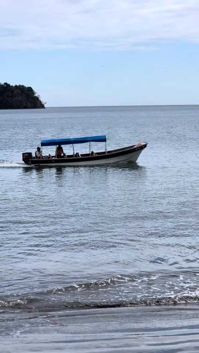Lancha con toldo azul navegando en el mar en calma, con una isla verde al fondo